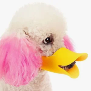 Poodle blanc ludique avec accessoires roses et bec de canard amusant.