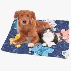 Golden retriever et chat reposent ensemble sur un tapis coloré, illustrant lamitié animale.