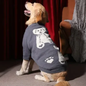 Golden retriever en pull gris, ambiance chaleureuse et cocooning avec motif ours joyeux.