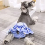 Schnauzer adorable en tenue florale sur un tapis doux, dans une ambiance chaleureuse.