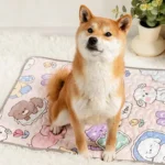 Shiba Inu adorable sur tapis pastel, captivant et chaleureusement confortablement installé à la maison.