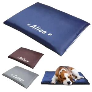 Couchages pour chiens personnalisés : Alice, Bella et Tommy, confort et style modernes.