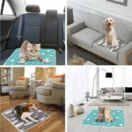 Tapis confortables pour animaux : élégance et protection dans voiture et salon.