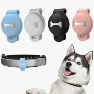 Accessoires colorés pour chiens : étiquettes modernes et collier élégant avec un Husky joyeux.