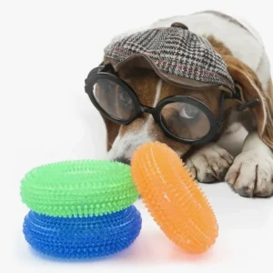 Beagle amusant avec un chapeau et des lunettes, explorant des jouets colorés.