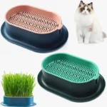 Bols modernes pour chats en rose et turquoise avec herbe fraîche pour un bien-être optimal.