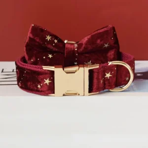 Ceinture en velours bordeaux avec étoiles dorées et nœud élégant, accessoire chic et original.