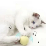 Un chat blanc joue joyeusement avec une petite balle jaune, entouré de notes de musique.