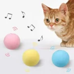 Chat curieux jouant avec des balles colorées et jouets musicaux.