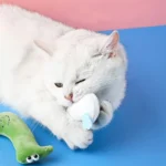 Chat blanc jouant avec un jouet en forme de glace sur fond coloré.