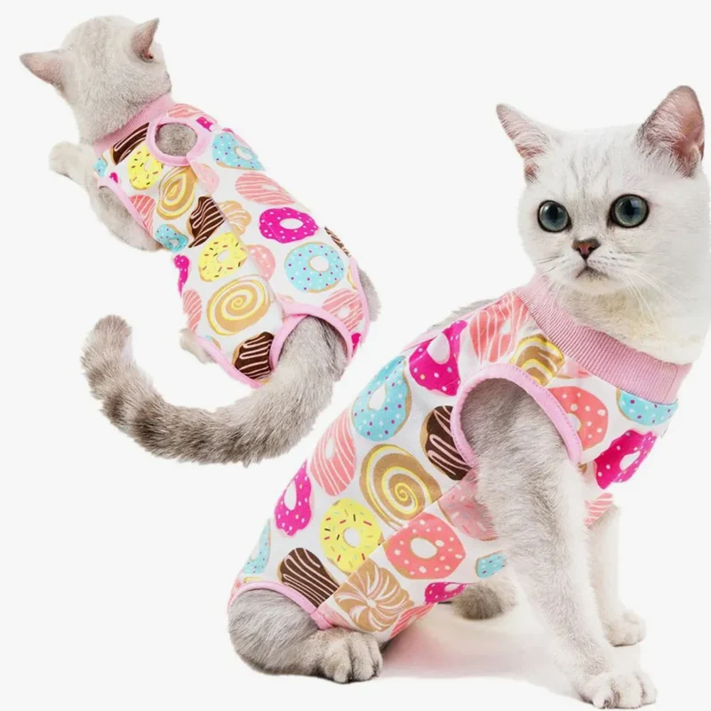 Chat mignon en onesie rose à motifs donuts, mettant en valeur ses yeux bleus.