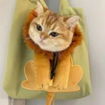 Chat mignon avec une crinière de lion dans un sac pastel amusant.