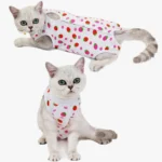 Chat adorable en tenue stylée avec motifs de fraises, alliant confort et charme.