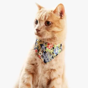 Chat orange adorable avec bandana floral, curieux et joyeux, sur fond blanc.