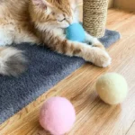 Un chat orange joue avec une balle bleue sur un tapis gris, ambiance chaleureuse.