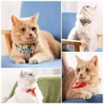 Chats adorables avec bandanas colorés, capturant leur charme et personnalité dans un collage.