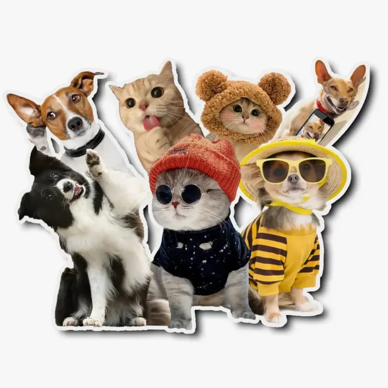 Collage joyeux de chats et chiens, illustrant leurs personnalités ludiques et attachantes.