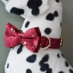 Collier bourgogne élégant avec nœud étoilé pour chien Dalmatien en peluche.