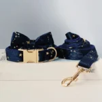 Collier et laisse chic bleu nuit avec motifs détoiles dorées pour chiens élégants.