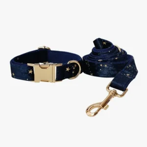 Collier et laisse pour chien bleu nuit avec étoiles dorées, alliant style et sécurité.