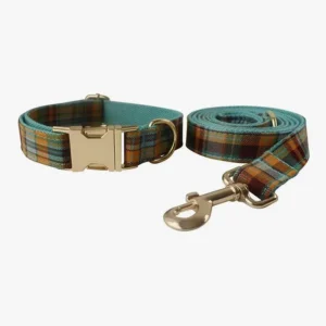 Collier et laisse modernes à motif de plaid teal, brun et jaune pour chiens.