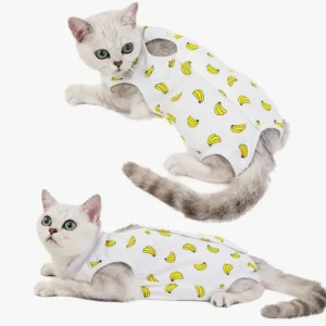 Deux adorables chats en vests motifs bananes, charmants et amusants, sur fond blanc.