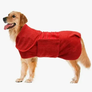 Golden retriever heureux en robe rouge, exprimant joie et confort après le bain.