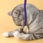 Chat tabby gris joueur avec cordes violettes sur fond jaune, moment de curiosité.