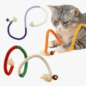 Chat tabby jouant avec des jouets colorés, stimulant son instinct de jeu et de curiosité.