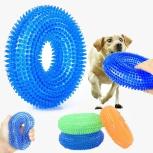 Jouets colorés pour chiens en mouvement, favorisant linteraction et la joie entre animaux et propriétaires.