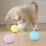 Un chaton joue avec des balles colorées sur un parquet lumineux, plein de curiosité.