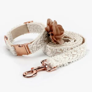 Laisse chic en dentelle beige avec clip doré rose et fleur décorative pour chien.