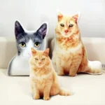 Oreillers en forme de chats gris et roux, ajoutant une touche ludique à votre décoration.