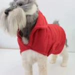 Schnauzer adorable en hoodie rouge sur fond blanc, un style tendance pour les chiens.