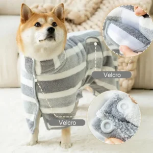 Shiba Inu heureux en robe rayée grise, confortable et stylée pour un look adorable.