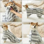 Shiba Inu joyeux en robe rayée, fusion de confort et style dans une ambiance chaleureuse.