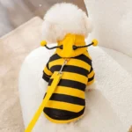 Le Bichon porte un déguisement de manteau en forme d'abeille, trop mignon !