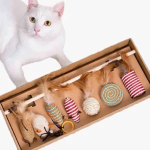 Chat blanc curieux jouant avec des jouets colorés dans une boîte en carton.