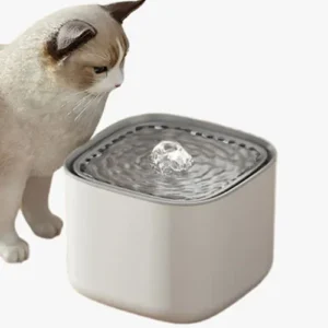 Chat curieux avec fontaine à eau moderne pour animaux, favorisant lhydratation et le design élégant.