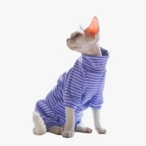 Chat stylé en violet, alliant élégance et charme félin avec assurance.