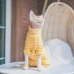 Un chat élégant en tenue rayée jaune, curieux dans un intérieur chaleureux et accueillant.