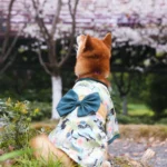 Le dos d'un chien portant un kimono à motifs verts