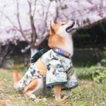 Vue latérale d'un chien portant un kimono à motifs verts