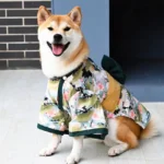 Un chien est heureux de porter un kimono à motifs verts