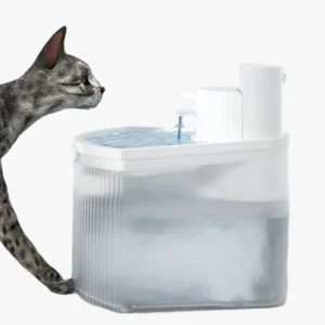 Fontaine moderne pour chat avec un félin curieux, design élégant et hydratation optimale.