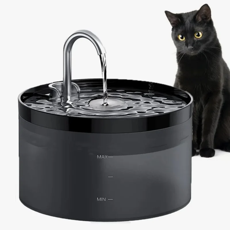 Fontaine à eau pour animaux avec chat curieux, design moderne et élégant en noir.