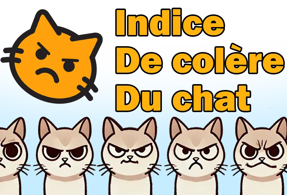 Description de l’indice de colère du chat