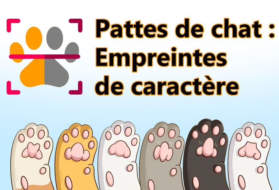 6 Zhǒng māo zhuǎzi de xíngzhuàng dàibiǎo 6 zhǒng māo dì xìnggé 16 / 5,000 6 types de formes de pattes de chat représentent 6 types de personnalités de chat