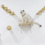 Aire de jeu murale pour chat blanc, design ludique et moderne, espace stimulant pour félins.