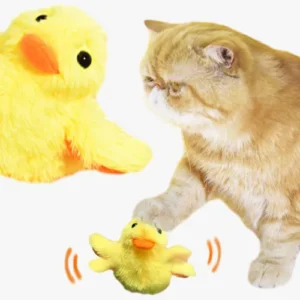 Chat curieux jouant avec un canard en peluche jaune, un moment de douceur et de joie.